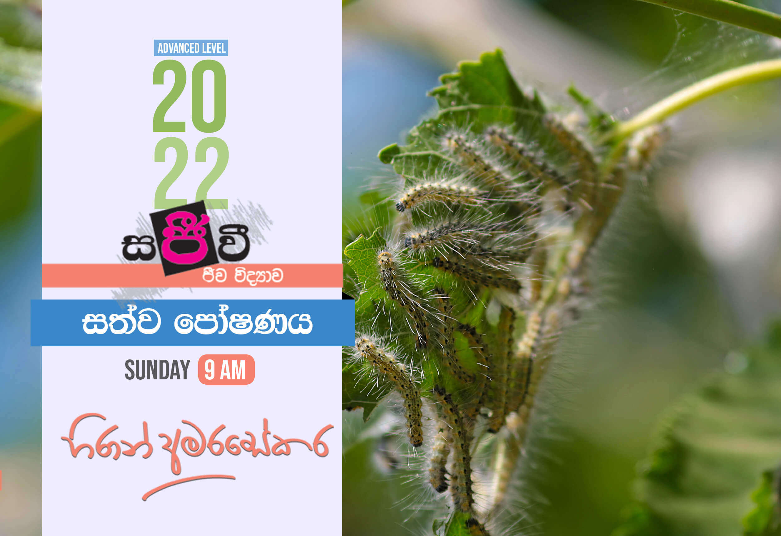 biology essay questions and answers in sinhala pdf in english
