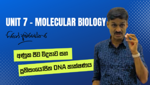 Unit 7 – Molecular Biology අණුක ප්‍රවේණි විද්‍යාව සහ ප්‍රතිසං‍යෝජිත DNA තාක්ෂණය