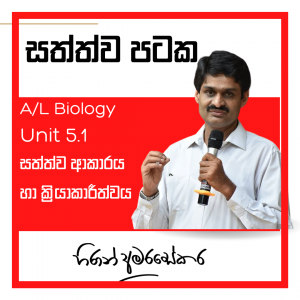 Animal Tissues - Animal Form Biology course